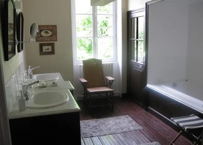 Les Cours Du Clain Poitiers