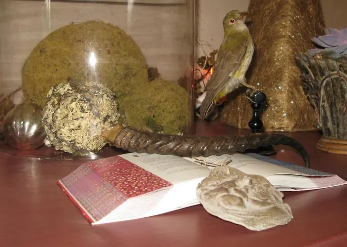 Les Cours Du Clain Couette-café *